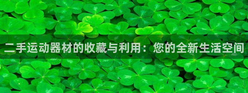 海南征途国际发展怎么样:二手运动器材的收藏与利用:您的全新生