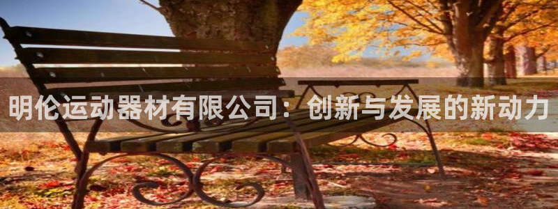 征途国际娱乐首页网站大全:明伦运动器材有限公司:创新与发展的