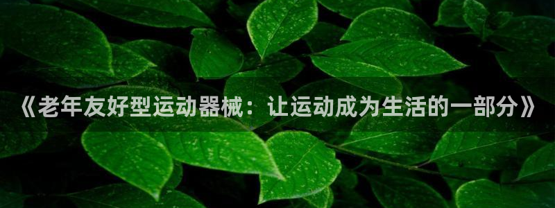 征途国际官网:《老年友好型运动器械:让运动成为生活的一部分》