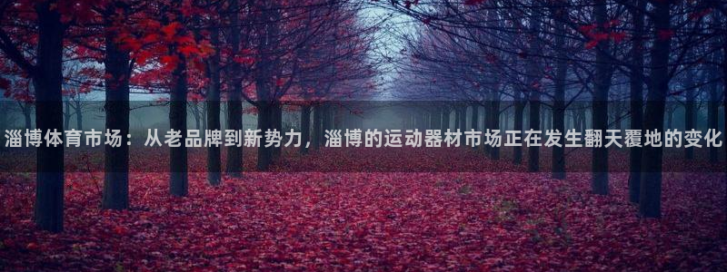 征途国际科技:淄博体育市场:从老品牌到新势力,淄博的运动器材